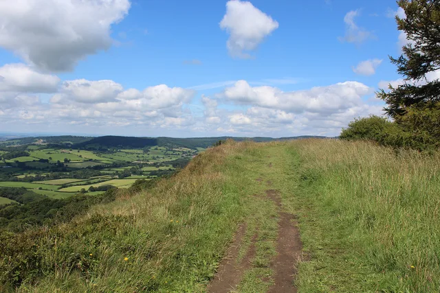 Cleveland Way above Whitestone Cliff